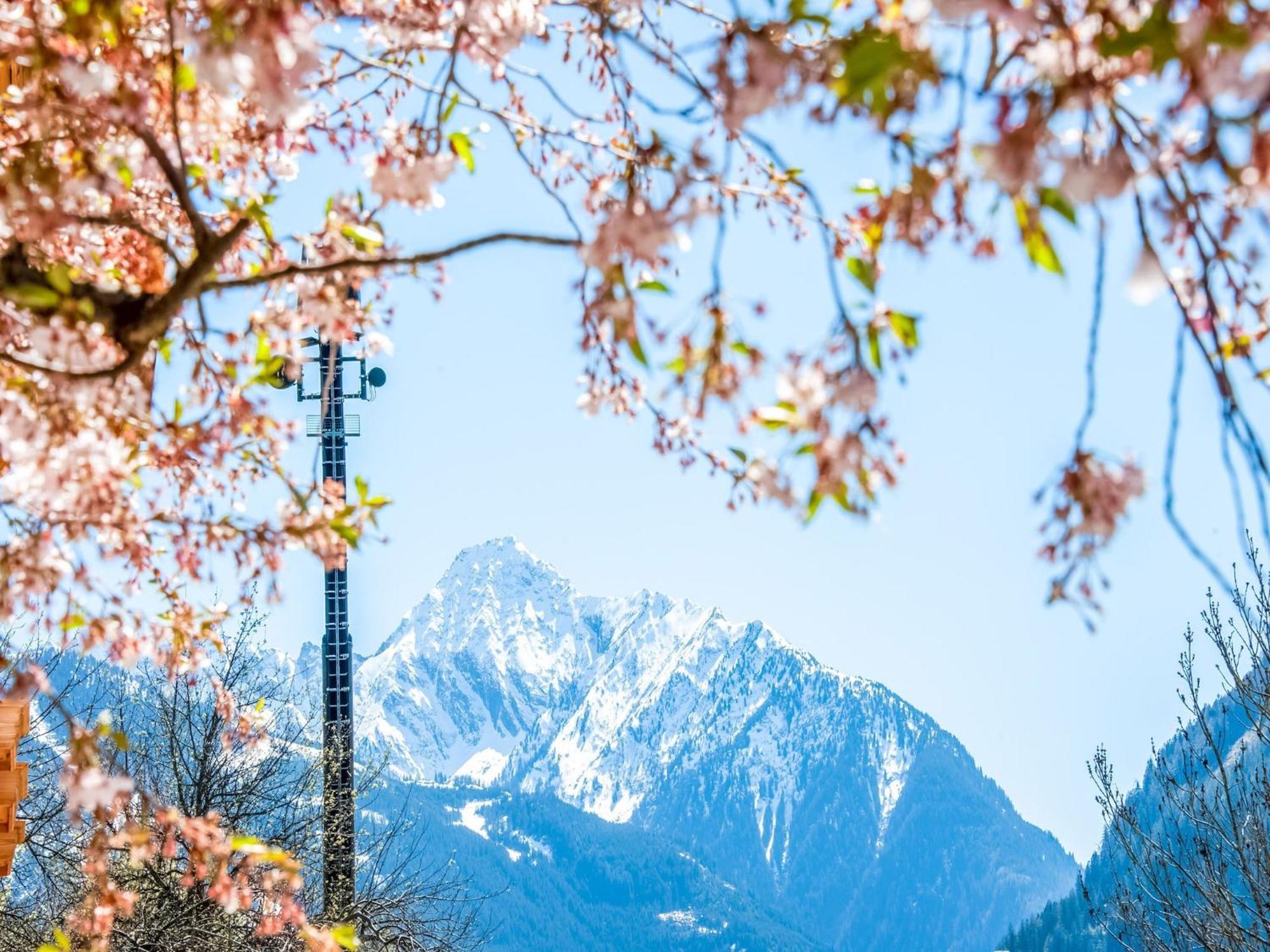 Apartment With Panoramic View Ramsau im Zillertal Ngoại thất bức ảnh