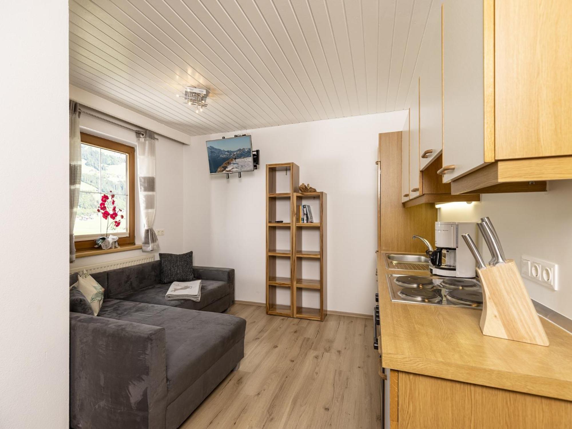 Apartment With Panoramic View Ramsau im Zillertal Ngoại thất bức ảnh