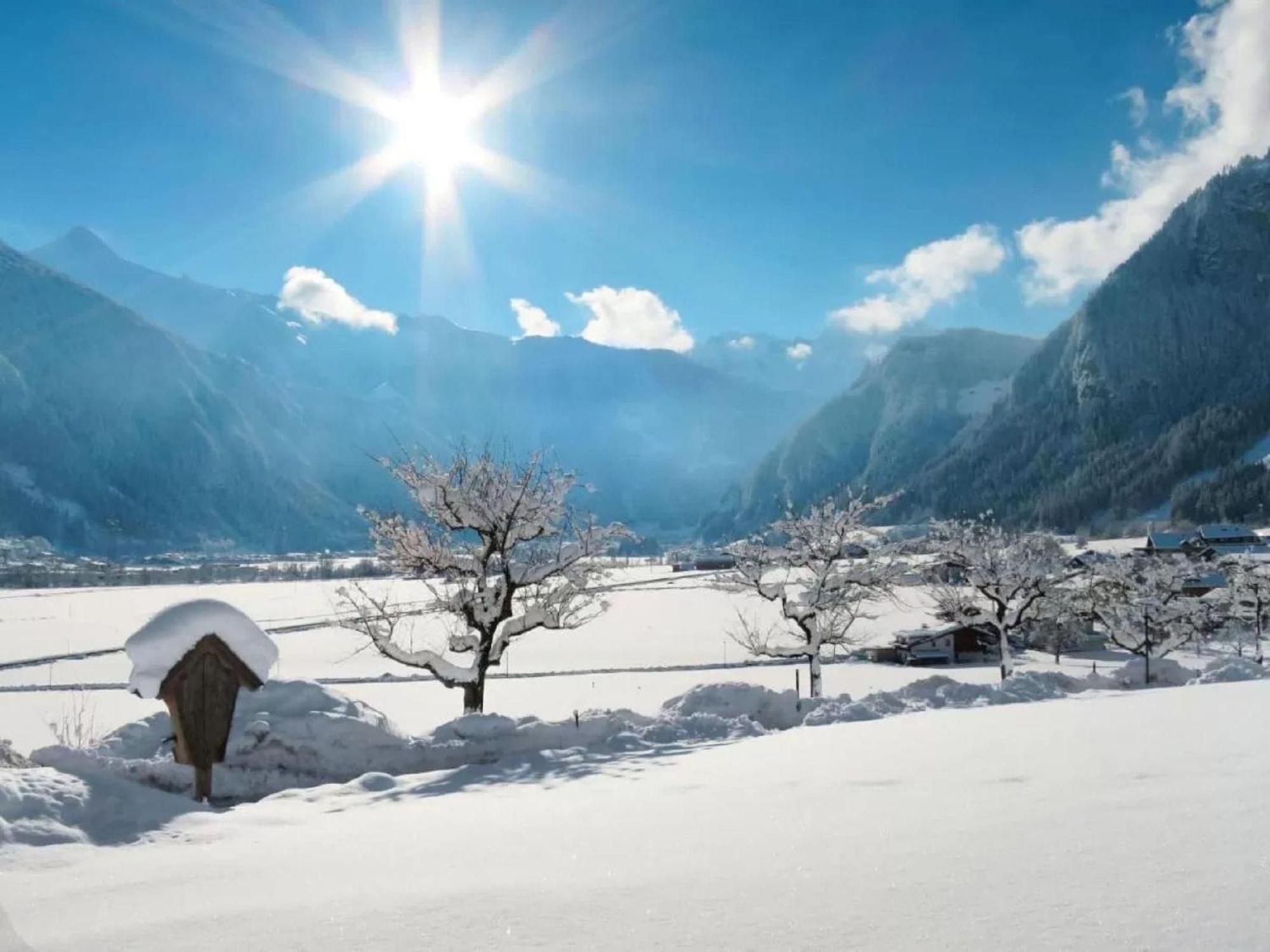 Apartment With Panoramic View Ramsau im Zillertal Ngoại thất bức ảnh