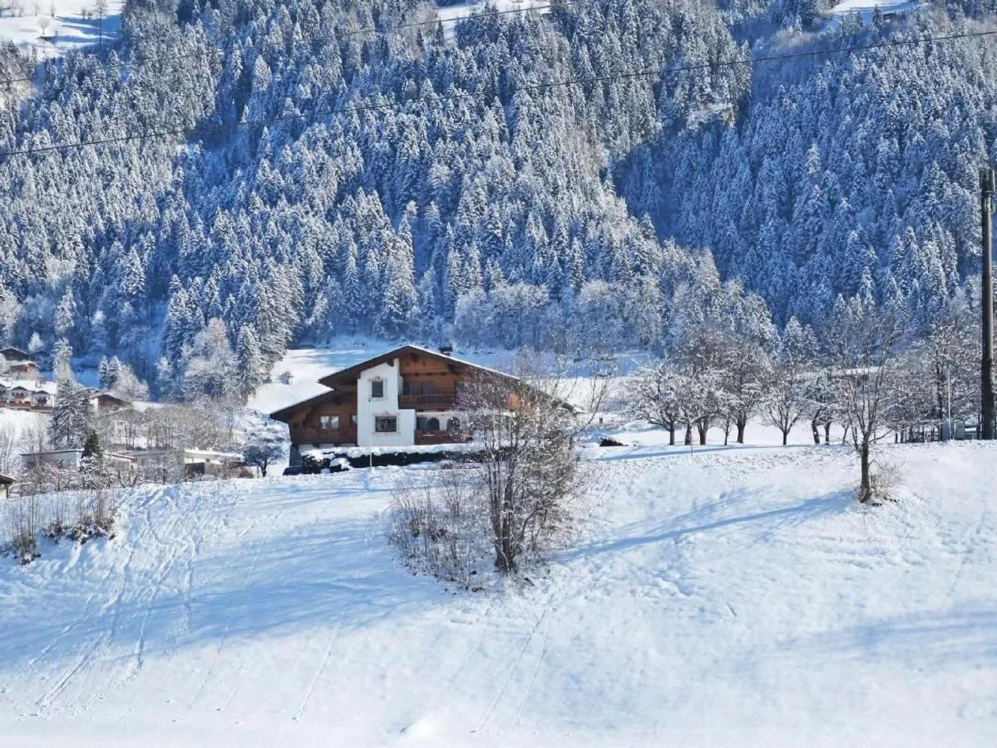 Apartment With Panoramic View Ramsau im Zillertal Ngoại thất bức ảnh